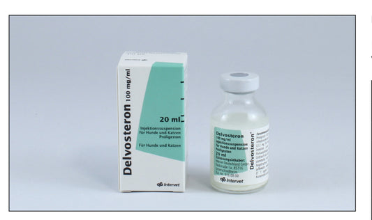 Die bewährte Delvosteron Injektion zur Läufigkeitsverschiebung bei uns vorhanden
