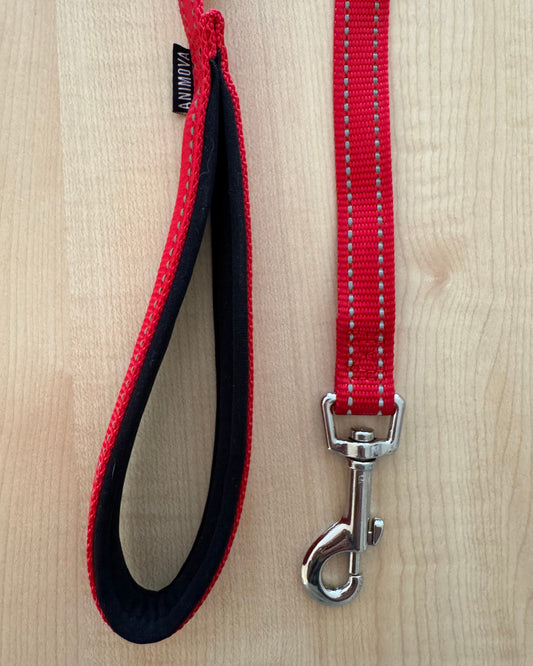 Animova Dog Leash - Reflective and Padded Handle